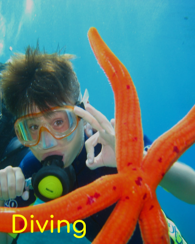 Diving
