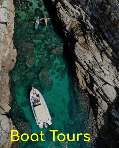 Boat Tours