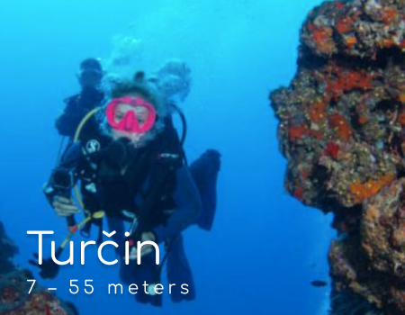 Group 503