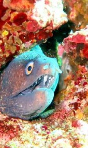 20180822_181429_web-400x284-1