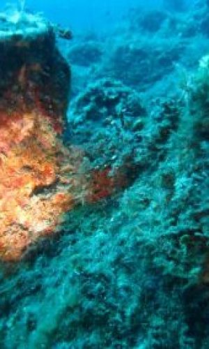 20191014123703_web-400x284-1