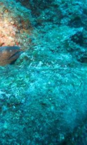20191014123750_web-400x284-1