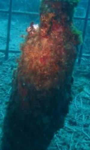 20191014124018_web-1-400x284-1