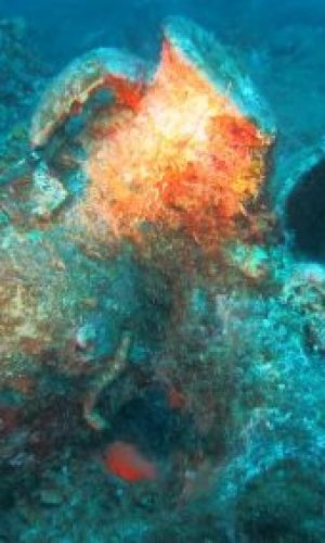 20191014124108_web-400x284-1