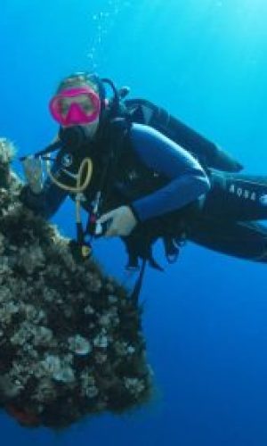 mg_7242.jpgct_web-400x284-1