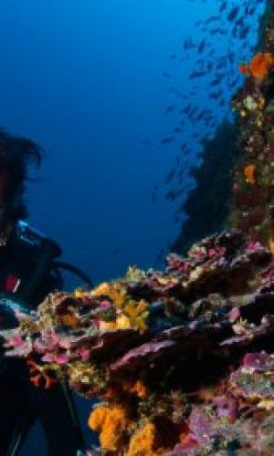 mg_7313-1.jpgct_web-1-400x284-1
