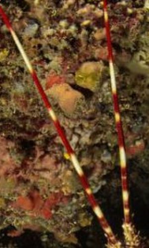 mg_7420.jpgct_web-400x284-1