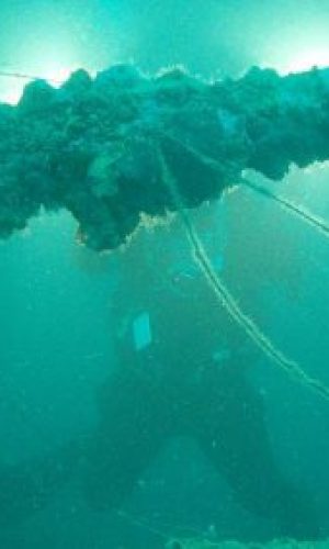 p5234569_web-400x284-1