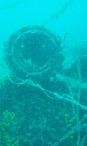 p5234571_web-400x284-1